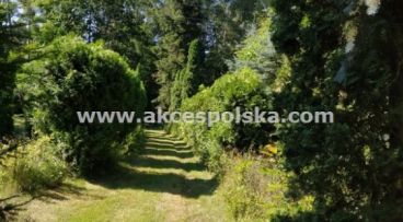 Trzcianka - -1.00m2