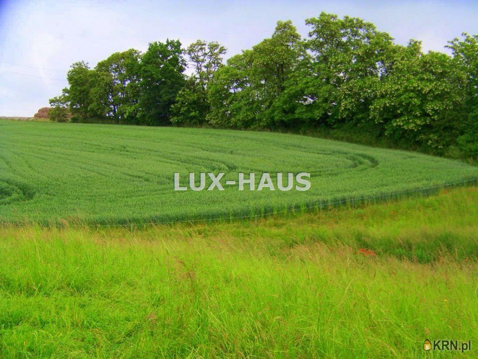 Trzeciewnica - -1.00m2 - 