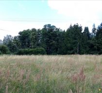 Krypno Kościelne - -1.00m2