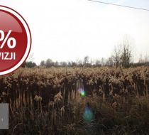 Stradomia Wierzchnia - -1.00m2