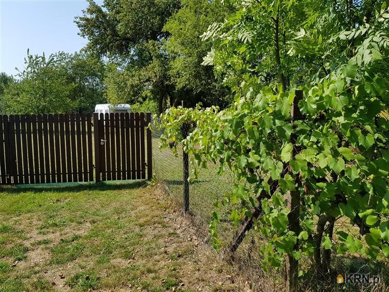 Sosnówka - -1.00m2 - 