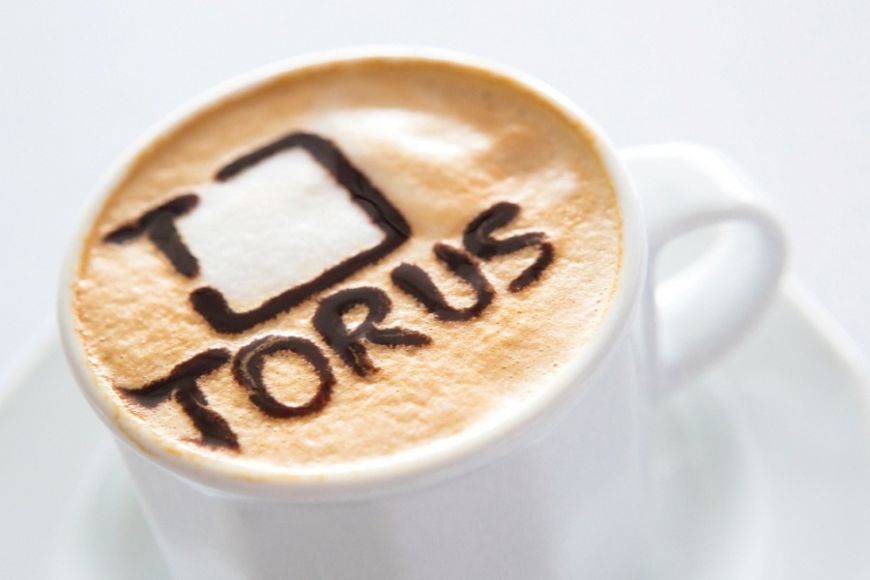  - Torus jest firmą deweloperską powstałą w 2002 r. w Gdańsku. W swoim portfolio ma inwestycje mieszkaniowe, magazynowe i rewitalizacyjne, ale specjalizuje się w obszarze inwestycji biurowych.