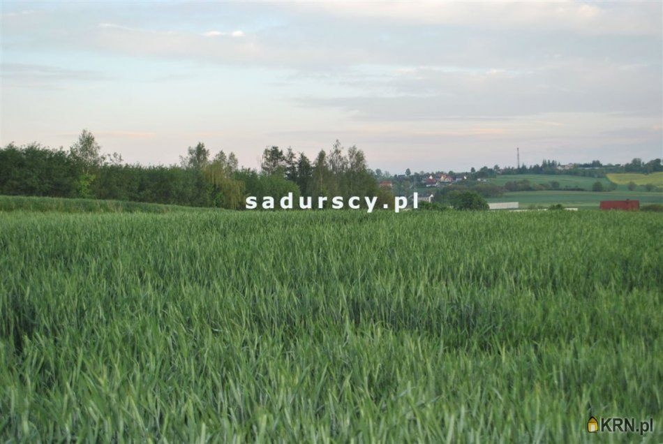 Dąbrowa - -1.00m2 - 