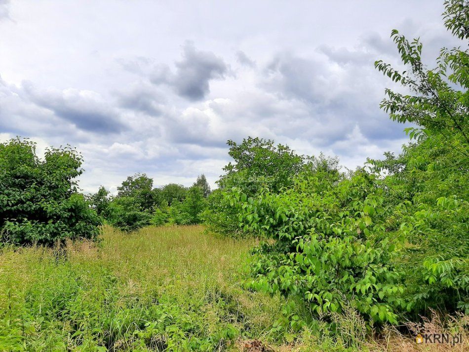 Chrzanów - -1.00m2 - 