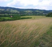 Poznachowice Górne - -1.00m2