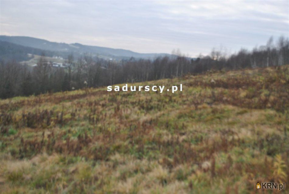 Głogoczów - -1.00m2 - 