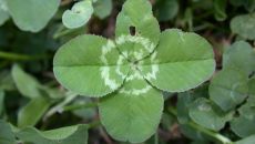 Facebook otworzył oddział w Warszawie