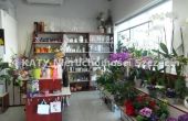 Szczecin - , 35.00m2
