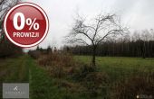 Pisarzowice - -1.00m2