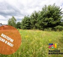 Kuźnica Głogowska - -1.00m2