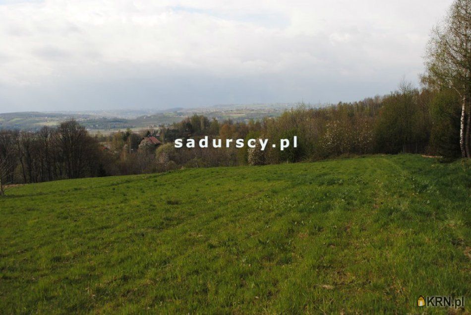 Brzoskwinia - -1.00m2 - 