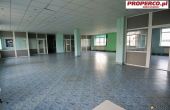 Kielce - R. Mielczarskiego - 270.00m2