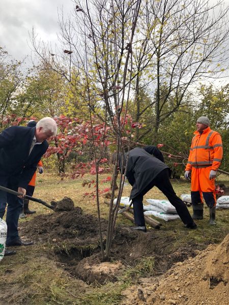  - Park Rozwoju: Planting Trees