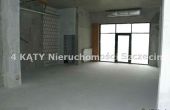 Szczecin - , 308.00m2