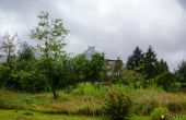 Zawiercie - , 184.00m2