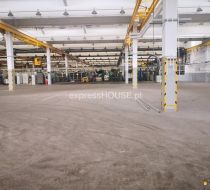 Wrocław - 1600.00m2