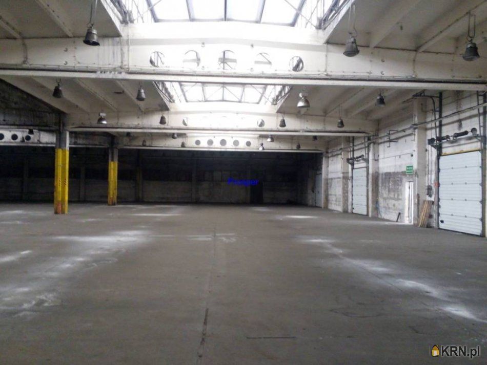 Dąbrowa Górnicza - 3000.00m2 - 