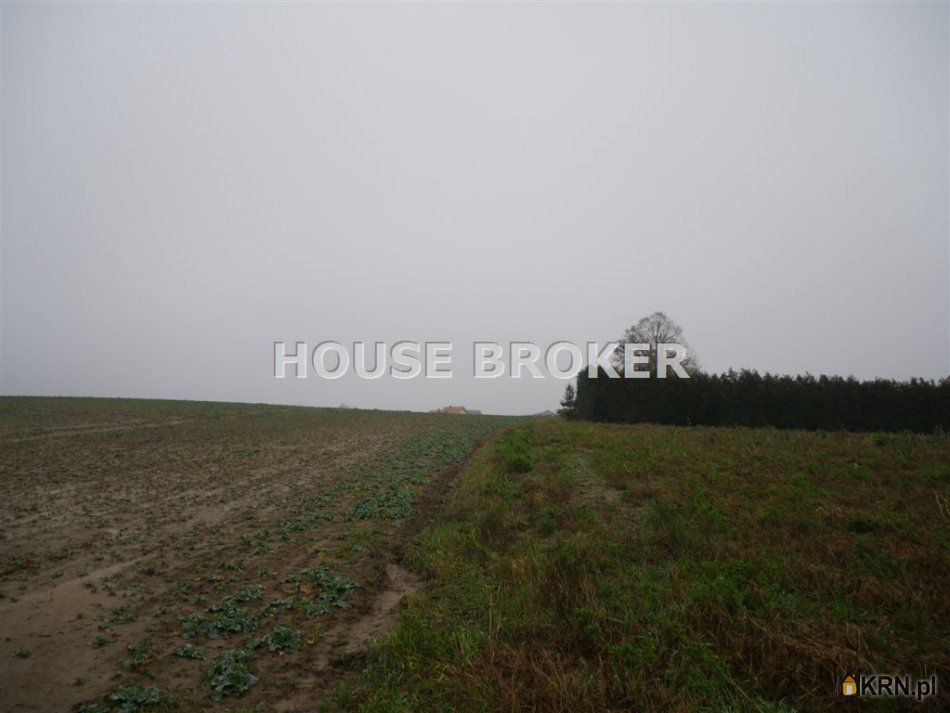 Stare Bielice - -1.00m2 - 