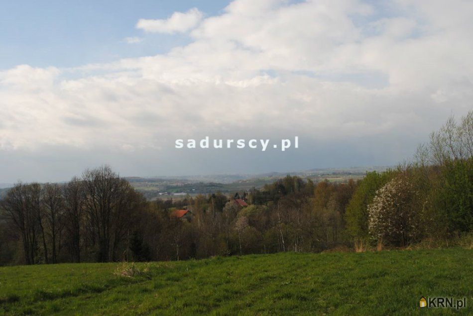 Brzoskwinia - -1.00m2 - 