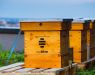 Hives on the roof of myhive Nimbus