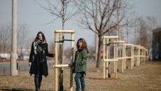 IMMOFINANZ sadzi kolejne drzewa i obejmuje opieką łącznie  30 dębów na warszawskim Służewiu