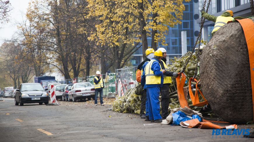  - Sadzenie drzew wymagało zaangażowania sporej liczby osób.