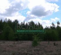 Stare Budy Radziejowskie - -1.00m2