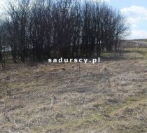 Pietrzejowice - -1.00m2