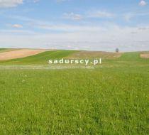 Ściborzyce - -1.00m2