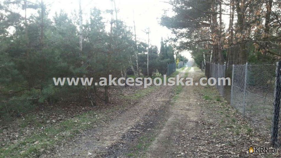 Arciechów - Zegrzyńska - -1.00m2 - 