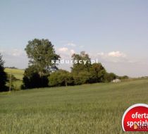 Czaple Wielkie - -1.00m2