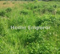 Grzebienisko - -1.00m2