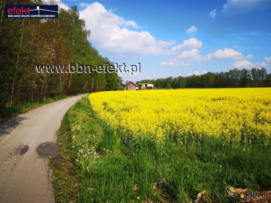 Dankowice - -1.00m2 - 