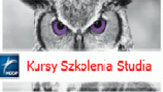 Podatek od nieruchomości w 2013 r. w branży budowlanej i deweloperskiej najnowsze orzecznictwo organów podatkowych i sądów administracyjnych