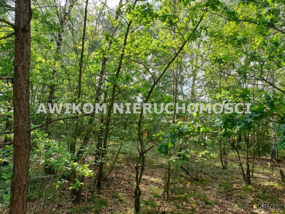 Henryszew - -1.00m2 - 