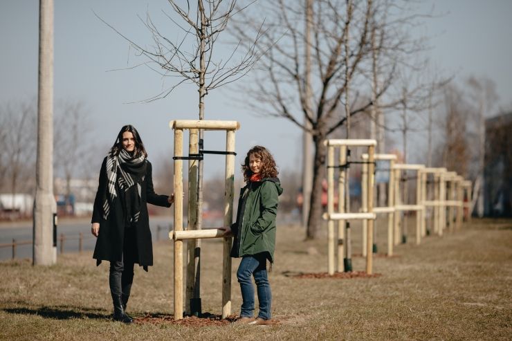  - IMMOFINANZ sadzi drzewa na warszawskim Służewiu