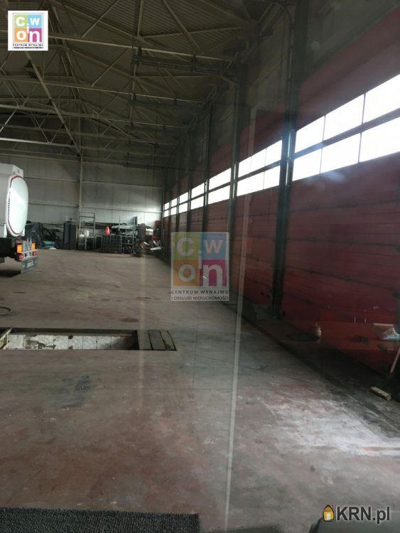 Woźniki - 978.00m2 - 