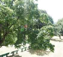 Wrocław - Zaporoska - 26.14m2