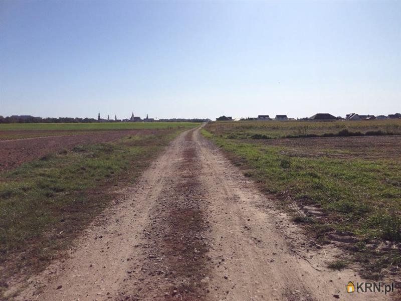 Oleśnica - Agrestowa - -1.00m2 - 