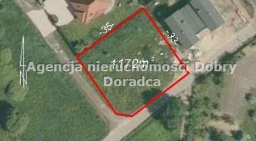 Osowiec - Falista - -1.00m2