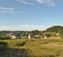 Niedźwiedź - -1.00m2