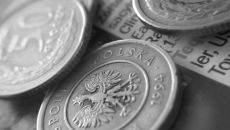 14.5 million zloty from the issue of shares of Platinum Properties Group