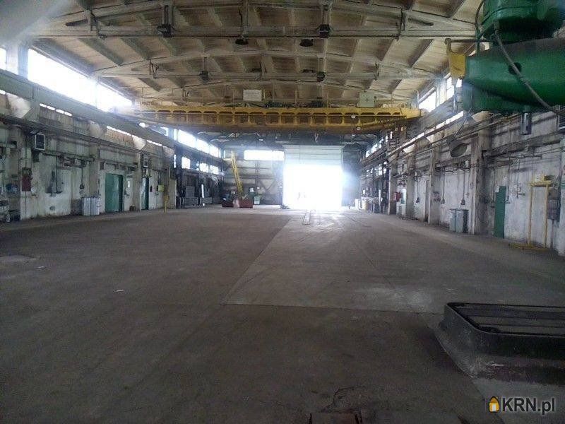 Katowice - 1500.00m2 - 