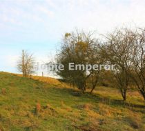 Dąbrówka Kościelna - -1.00m2