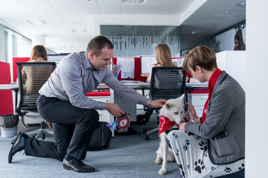  - Dogs in the Nestlé office