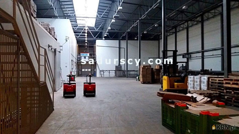 Magnuszew - 3000.00m2 - 