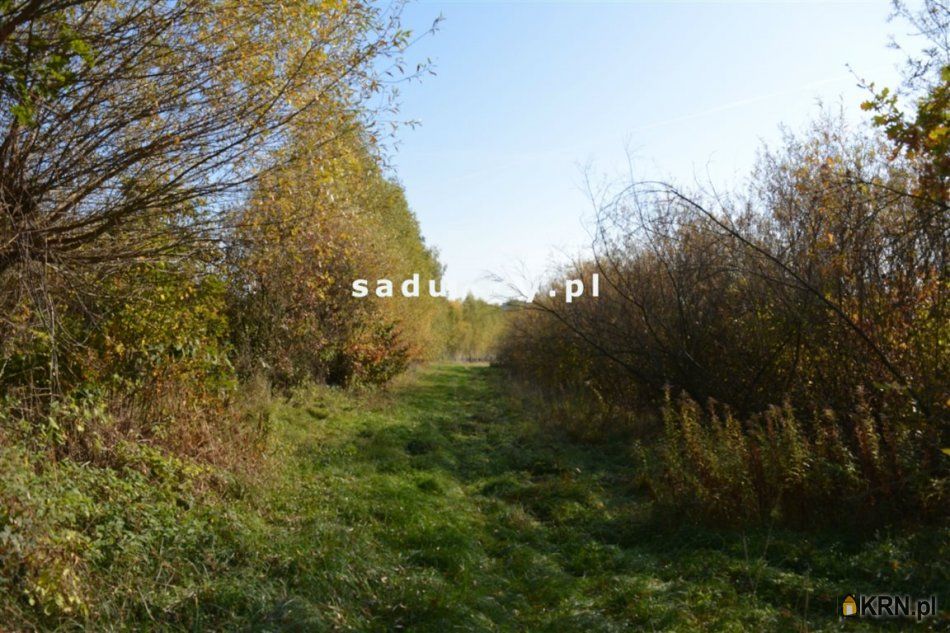 Grajów - -1.00m2 - 