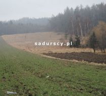 Frywałd - -1.00m2