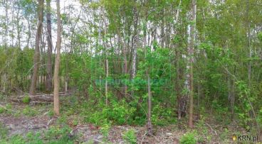 Stare Budy Radziejowskie - -1.00m2