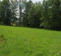 Dzięgielów - -1.00m2